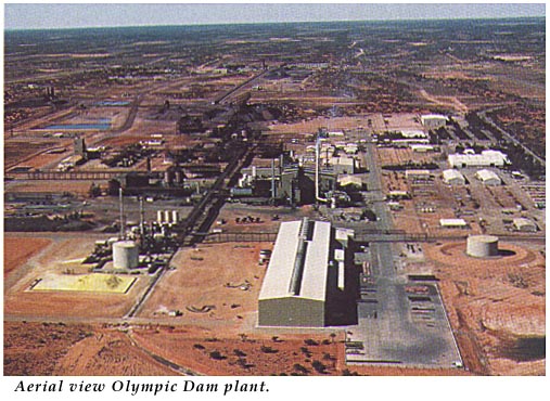 OD Plant