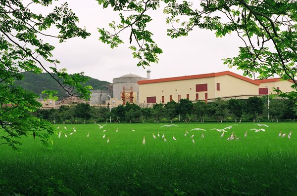 Daya Bay nuclear power plant with a flock of birds on the foreground