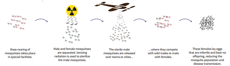 sterile insect technique to control zika virus